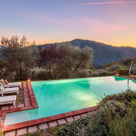 Villa Gufo Lucca Exterior photo